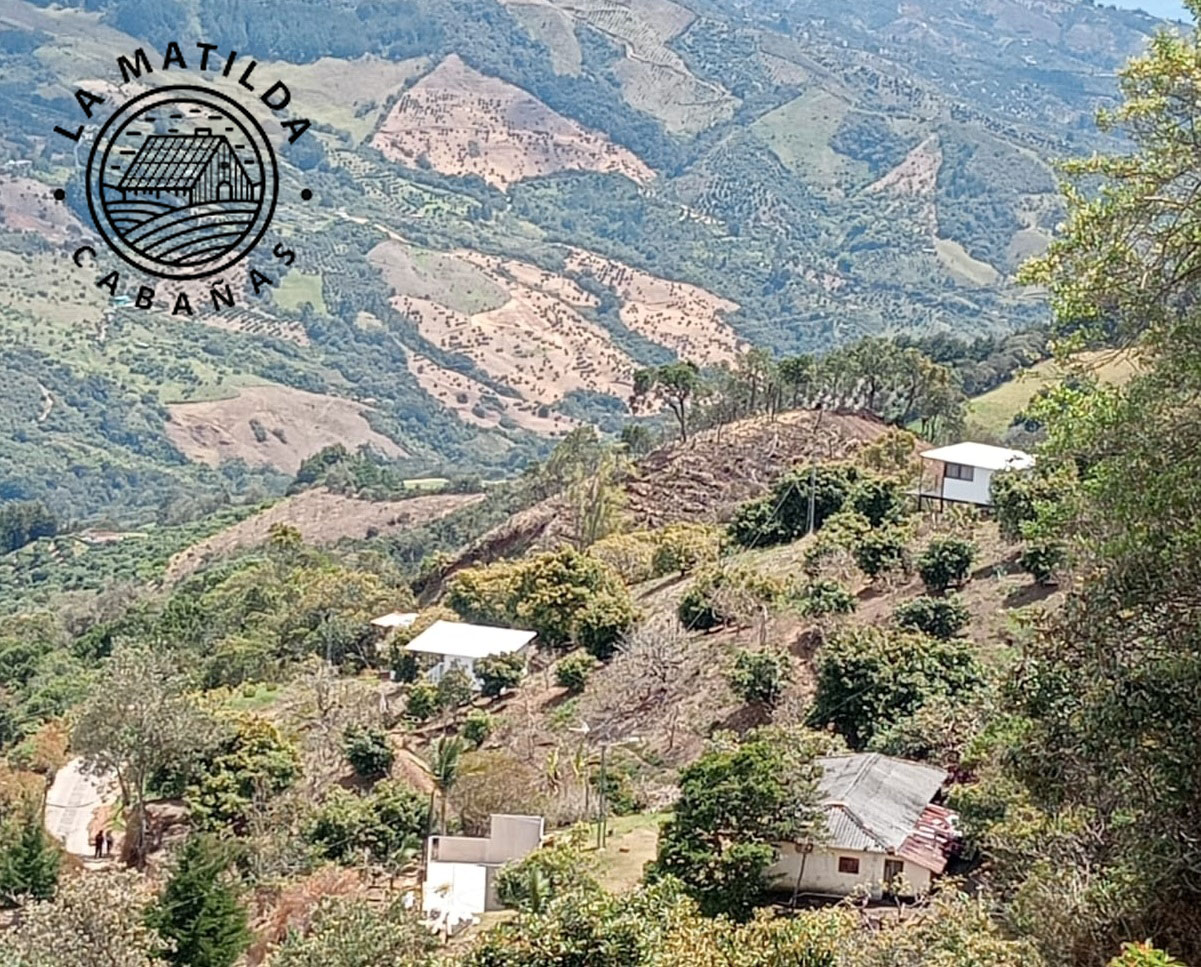 Postal La Matilda