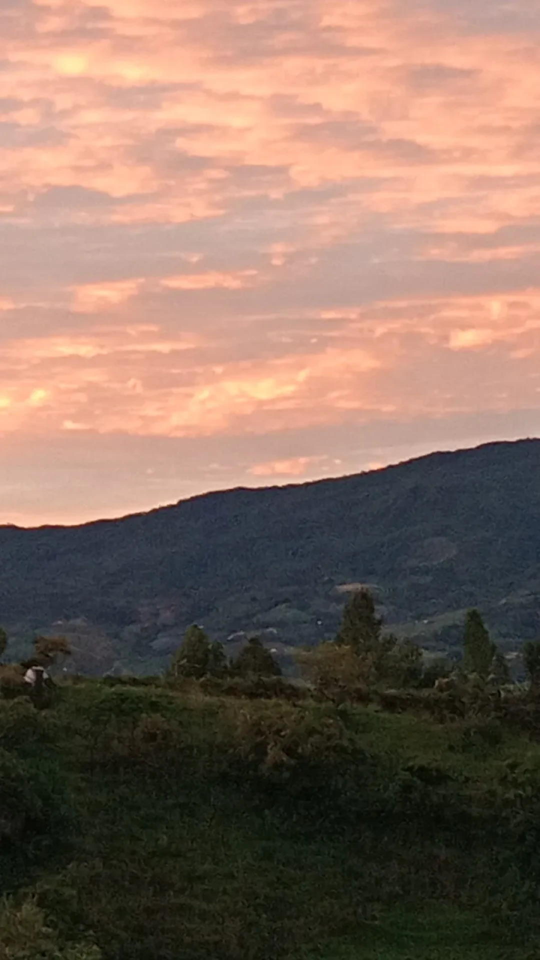 Fotos Amanecer